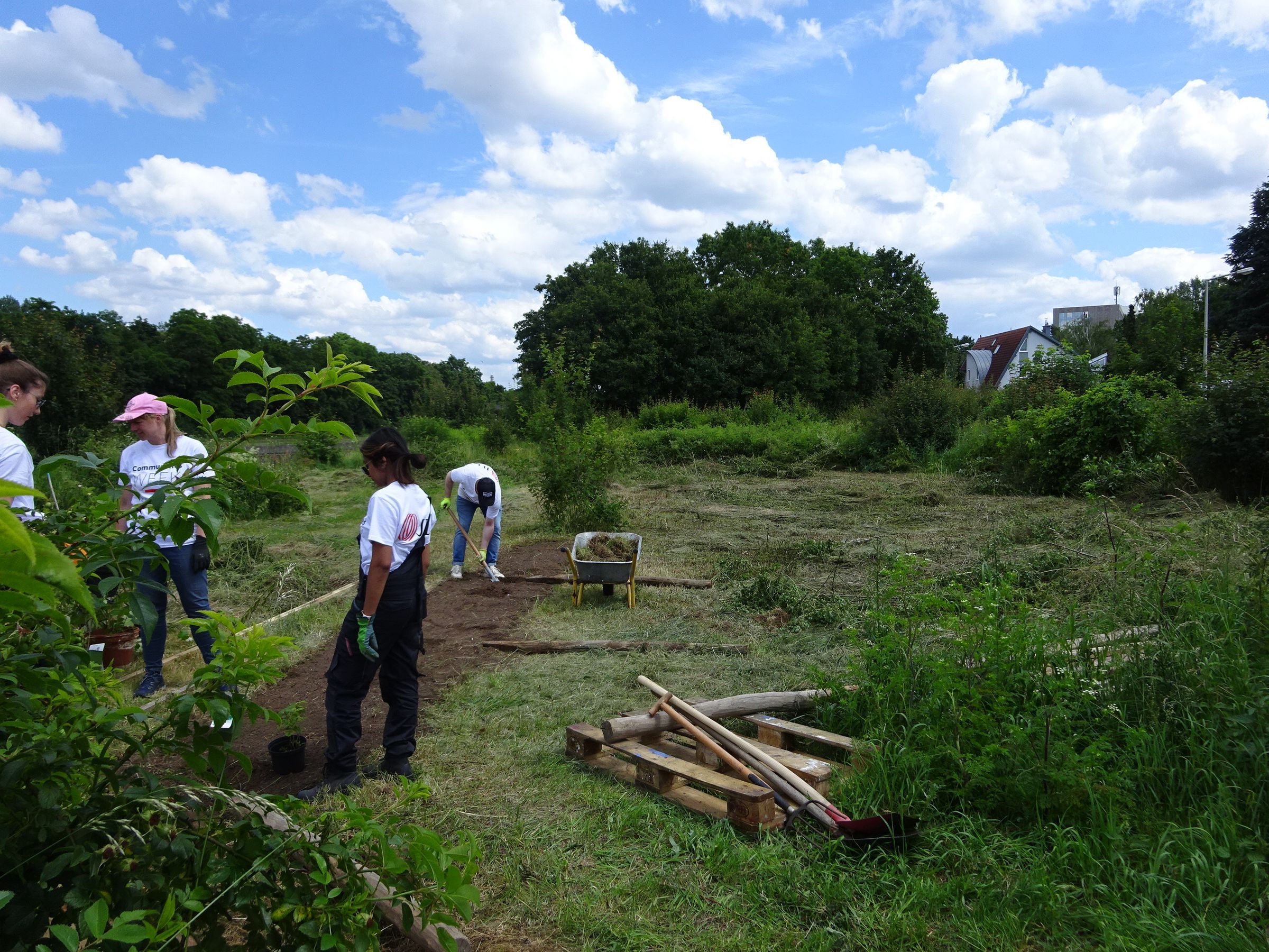 Beet ausstechen Beet ausstechen
