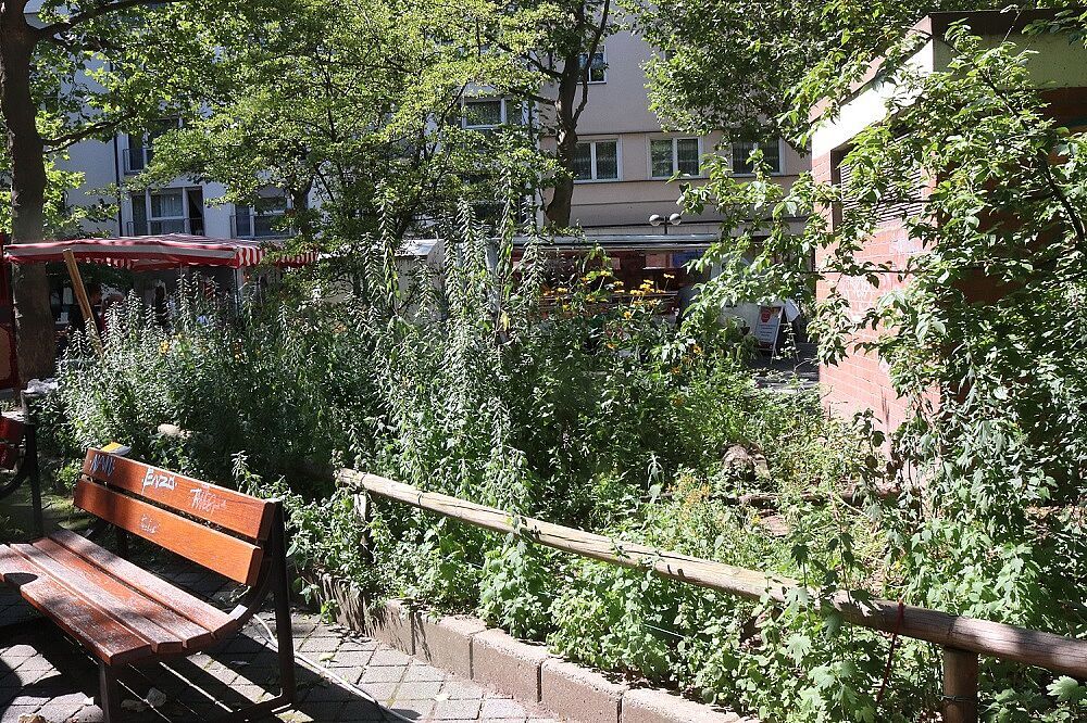 Beet auf dem Kopernikusplatz Beet auf dem Kopernikusplatz