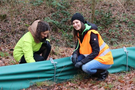 Amphibienaktion Dutzendteich (Foto: Wolfgang Dötsch)