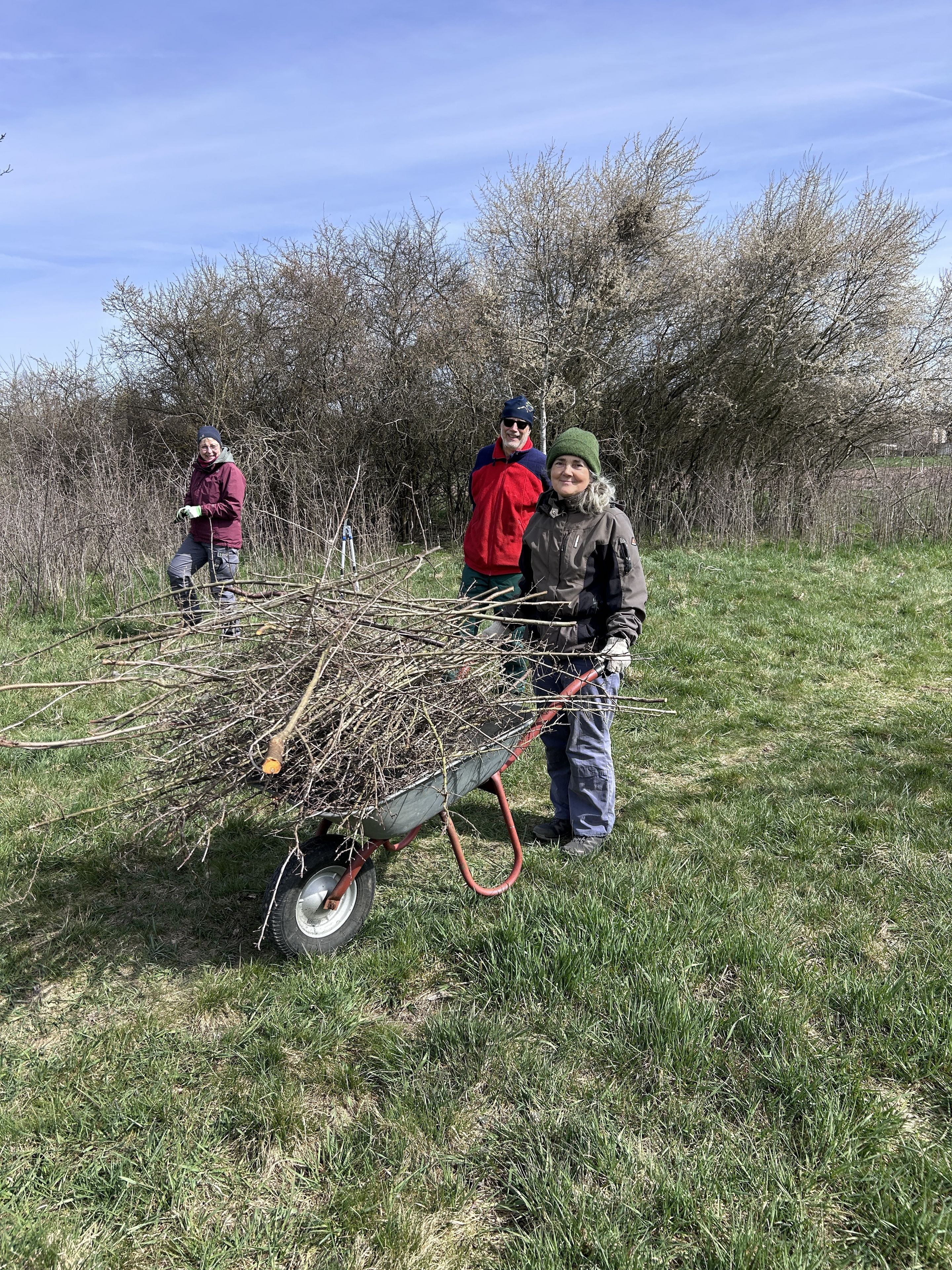 Pflege der Streuobstwiese Fischbach (Foto: Dr. Ingo Klose)