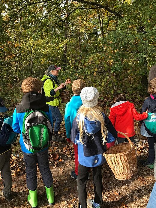 Pilzseminar der Artenkennerkids