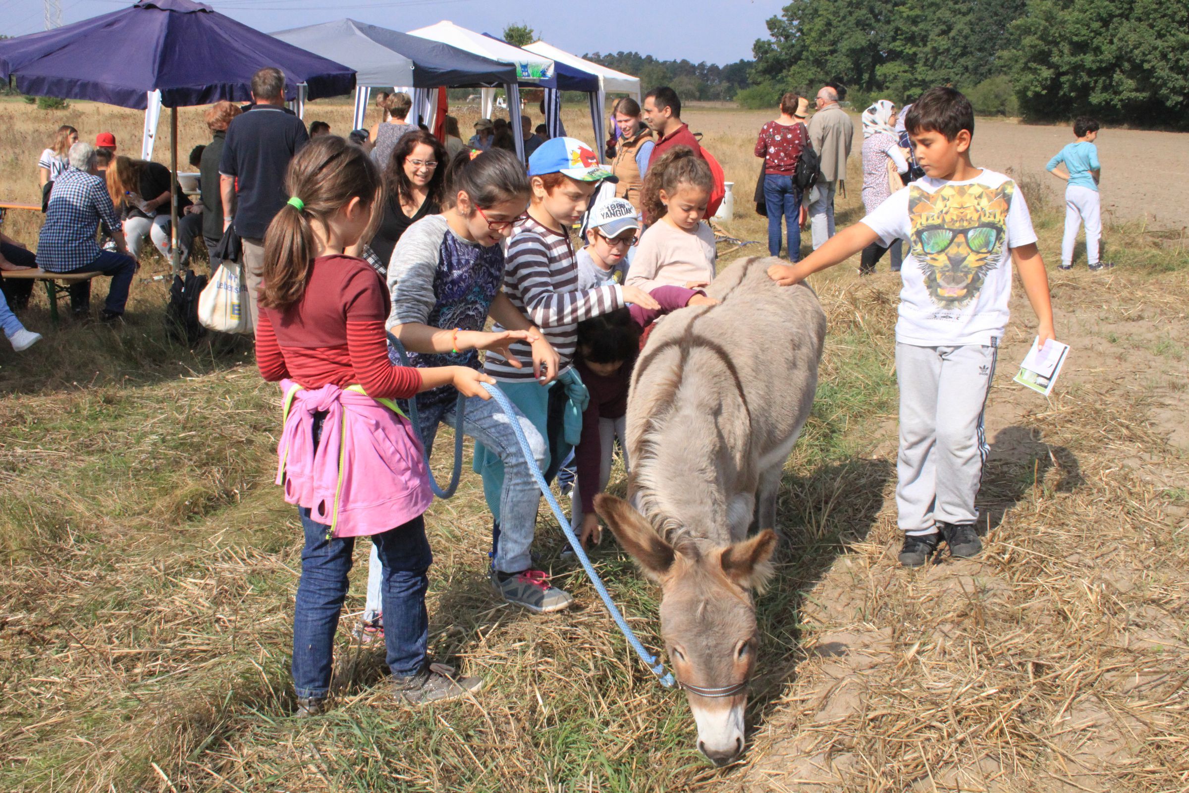 Umweltaktionstag Umweltaktionstag