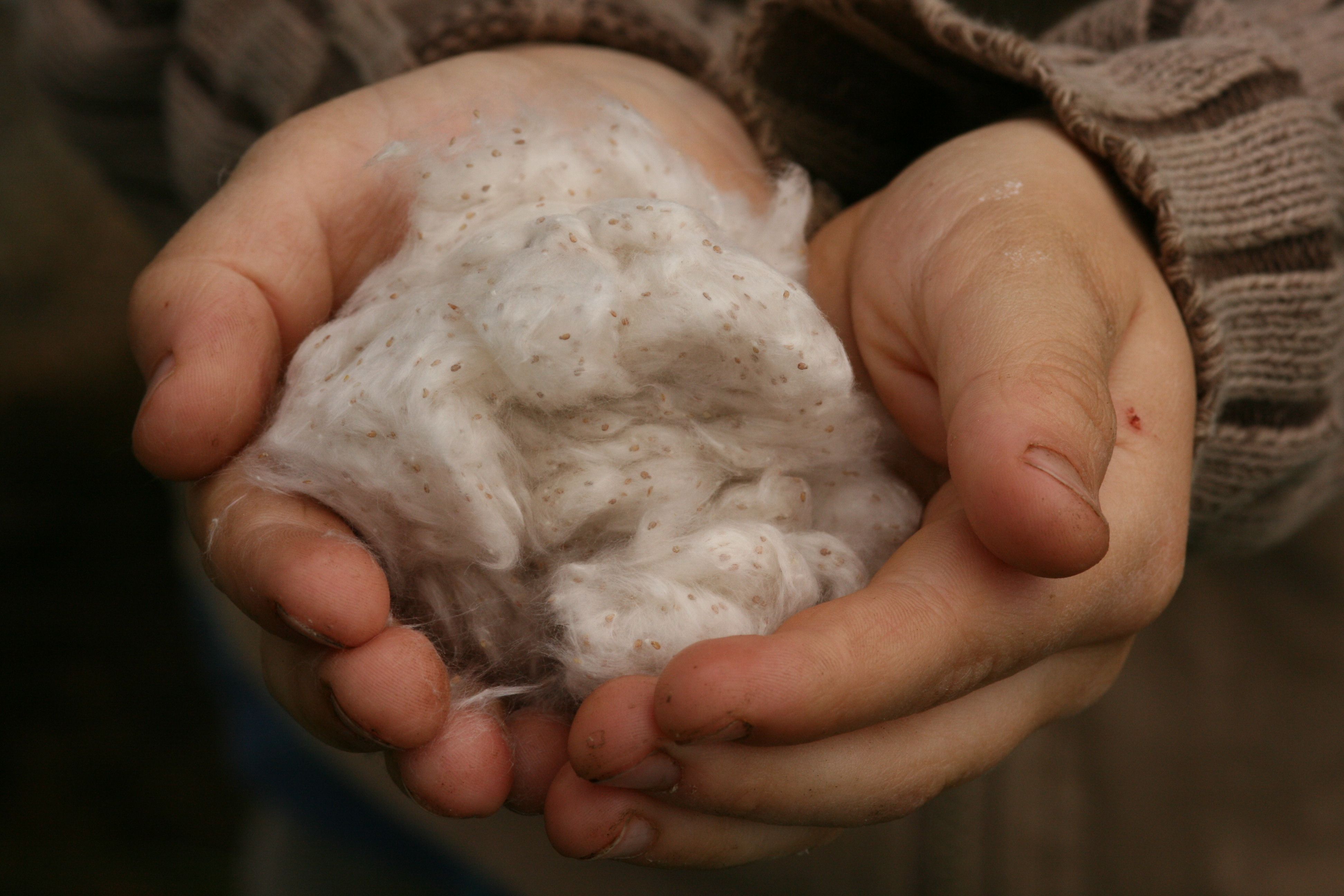 Espensamen Espensamen