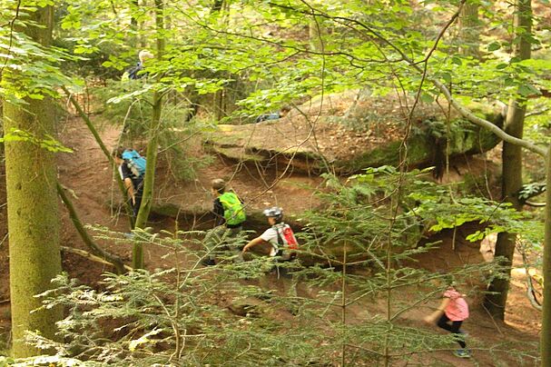 Kindergruppe „Wald am Schmausenbuck“