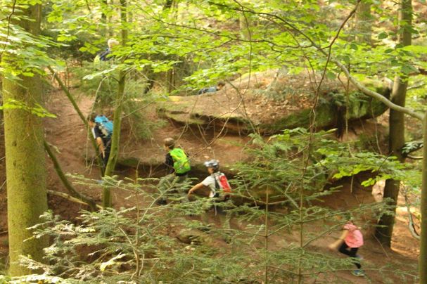 Kindergruppe „Wald am Schmausenbuck“