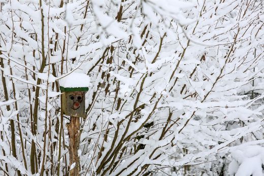 verschneiter Nistkasten