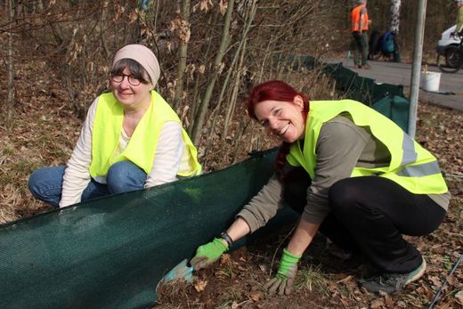 Amphibienzaun Birnthon (Foto: Wolfgang Dötsch)