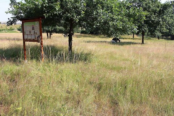 Biotopfläche in Kornburg mit Schautafel