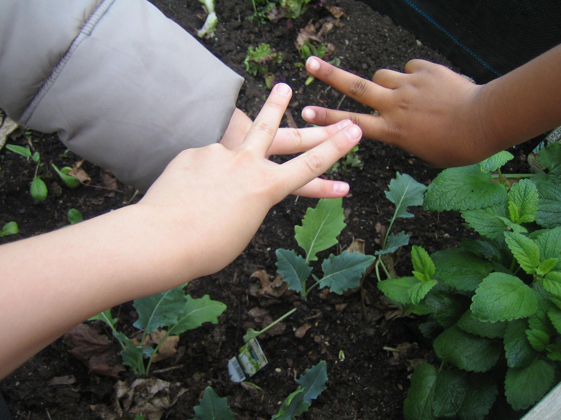 Mauer-Victory Mauer-Victory