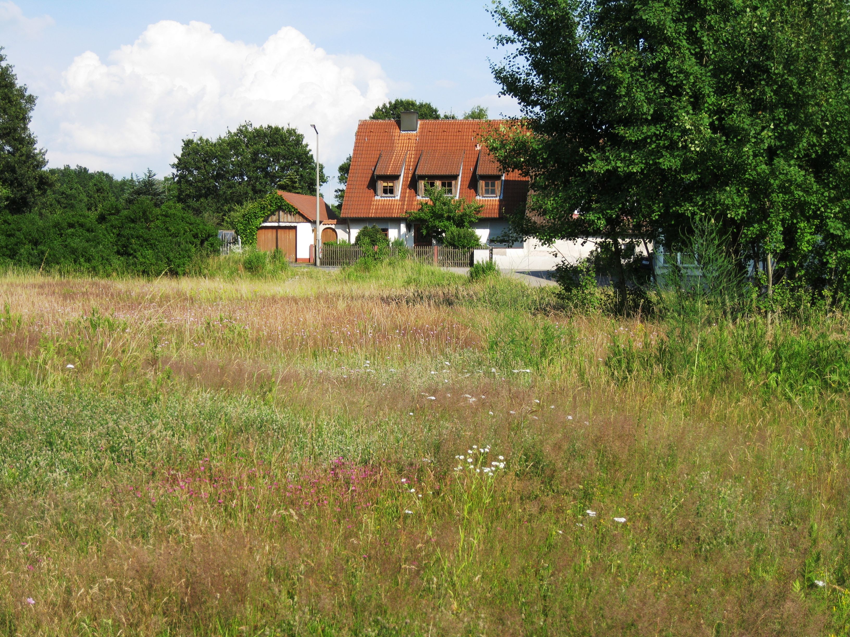 Heidefläche Ziegelstein