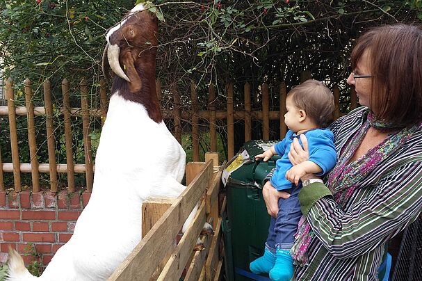 Die tierischen Gäste waren wieder eine Attraktion!