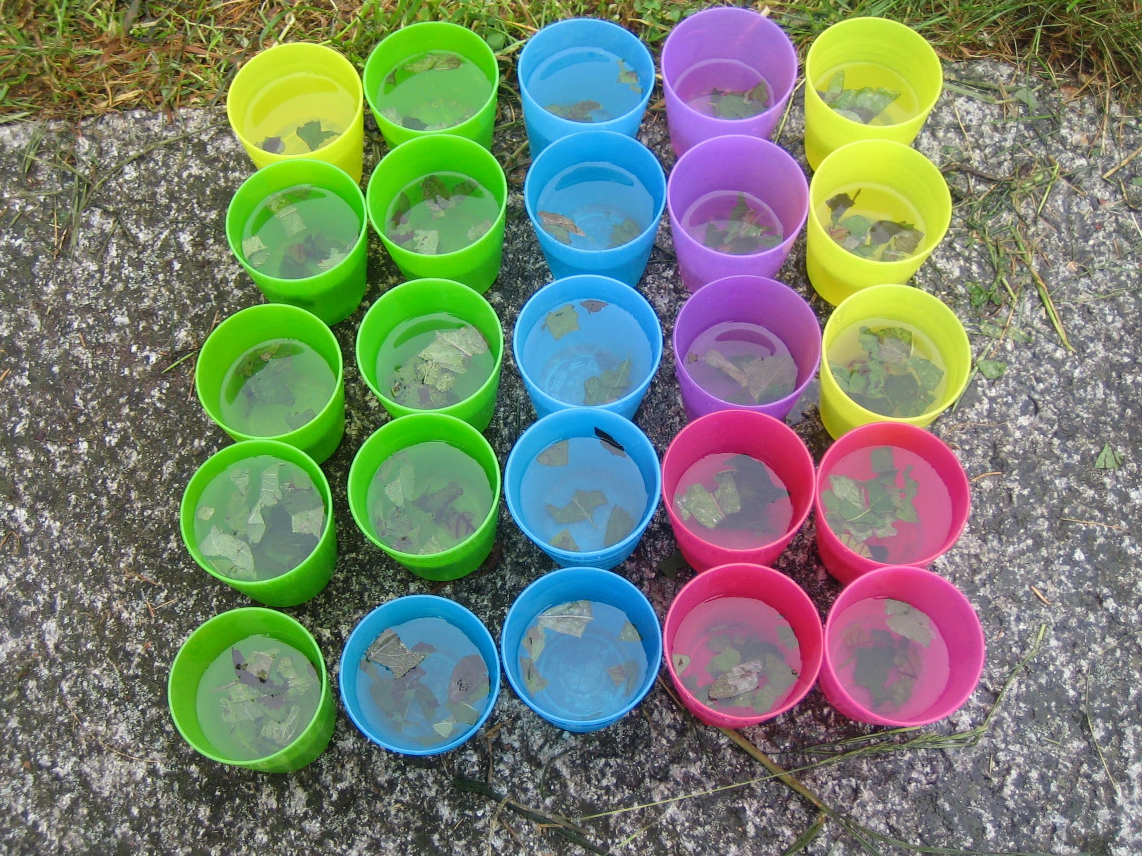 Mauer-Kräuterlimonade