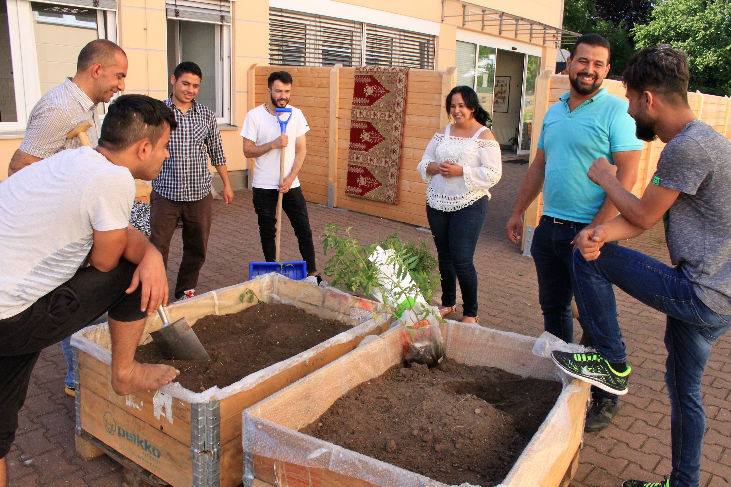 fertige Hochbeete fertige Hochbeete