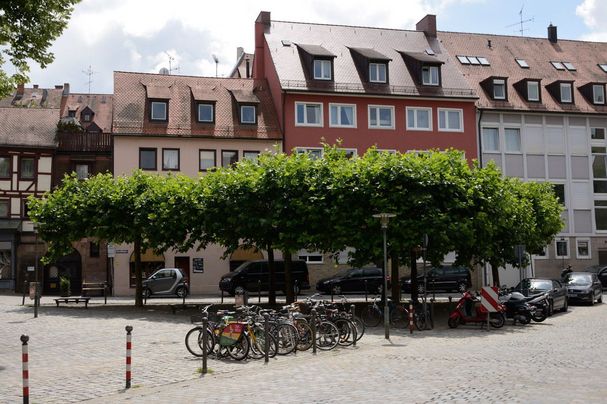 Stadtbäume in Nürnberg