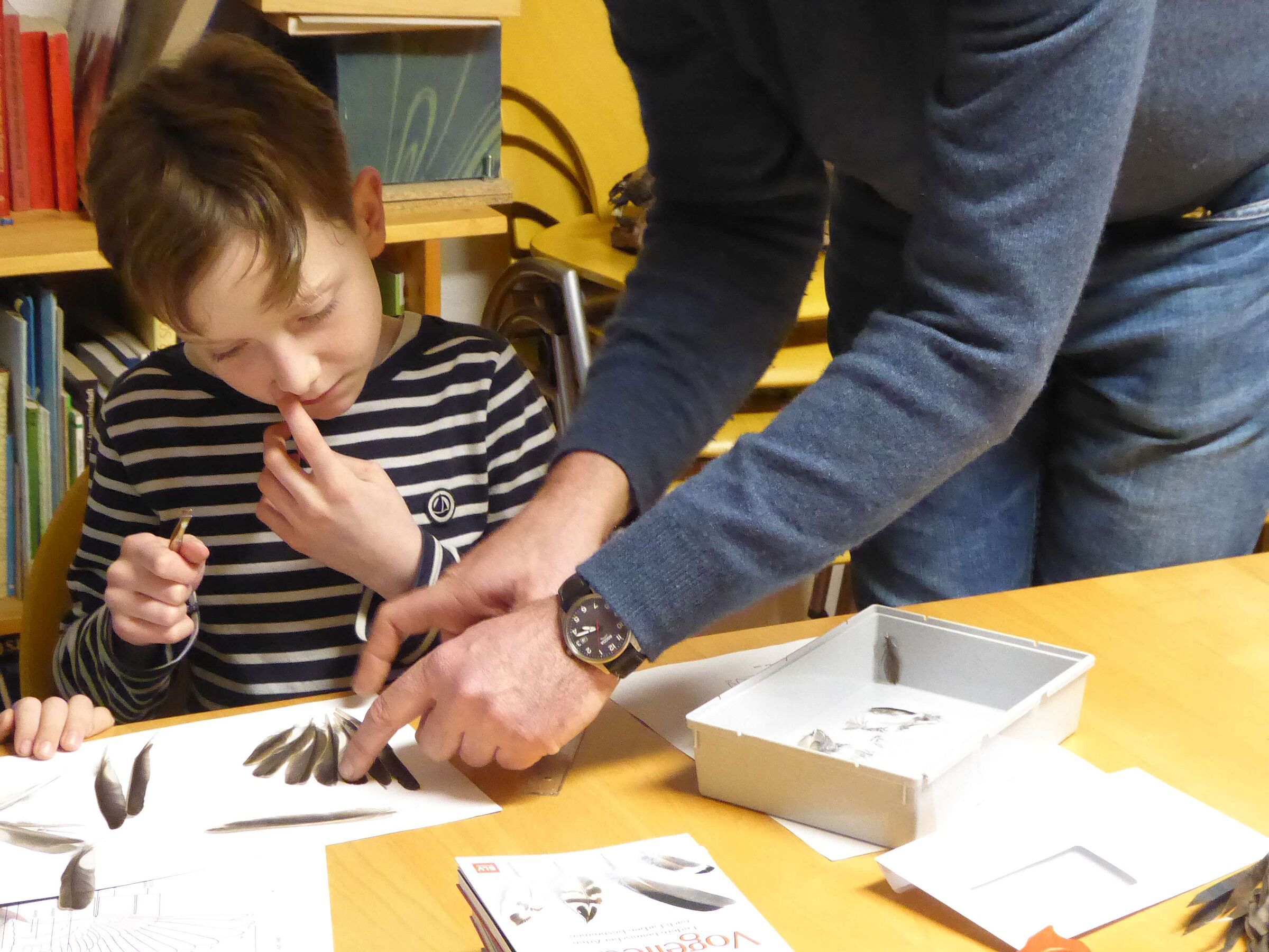 Federnbestimmungskurs