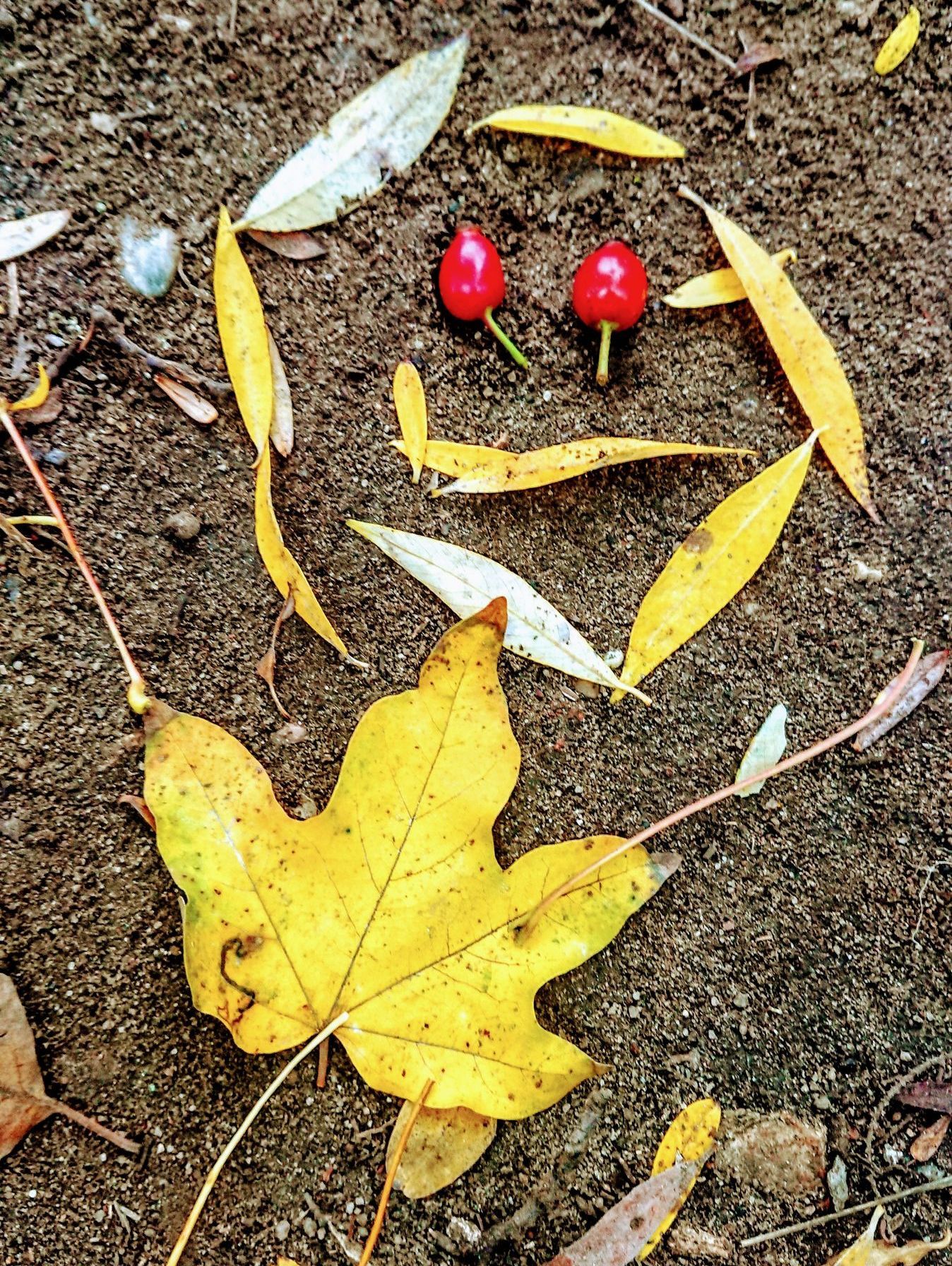 Land-Art-Gesicht