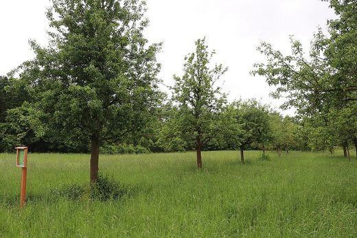Streuobstwiese Großgründlach (Foto: Wolfgang Dötsch)