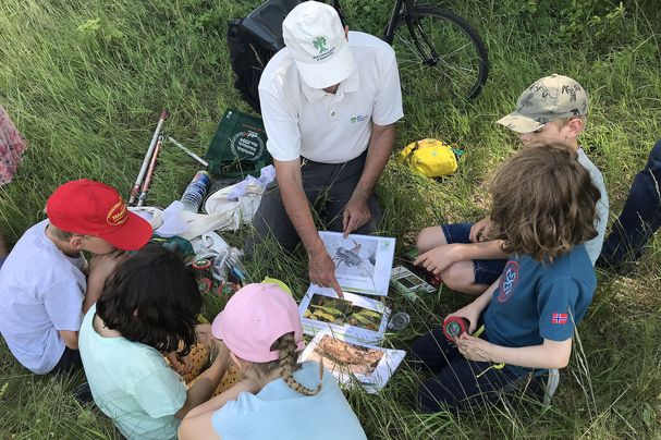 Artenkennerkids beim Heuschreckenkurs