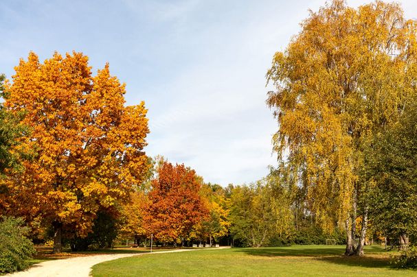 Herbst am Dutzendteich