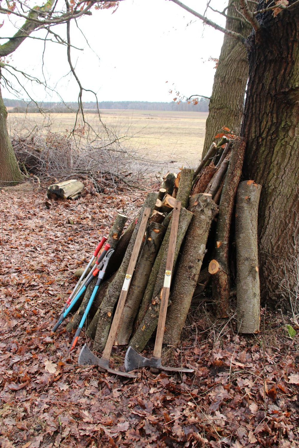 Pflegeaktion Rotary - Werkzeuge