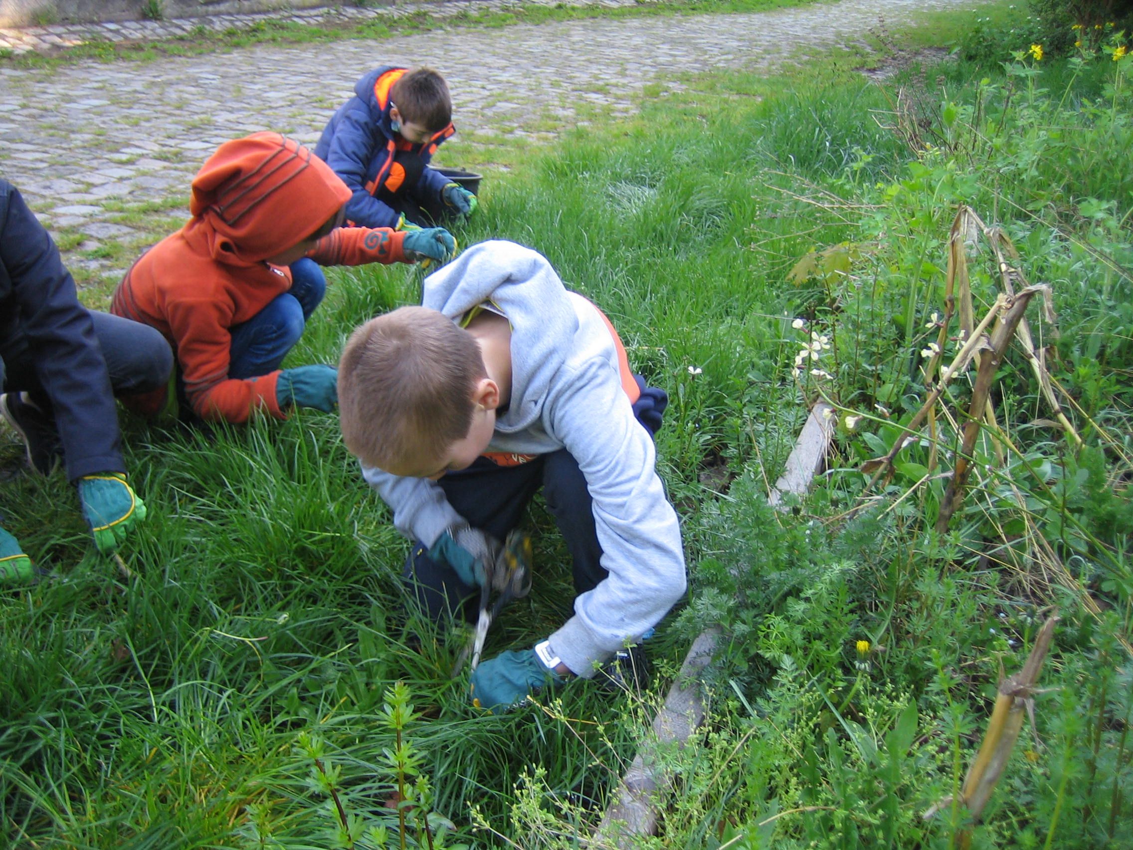 „Schafe“ grasen um die Beete