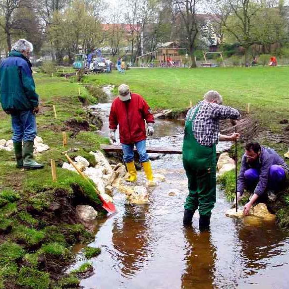 Renaturuerung des Goldbachs