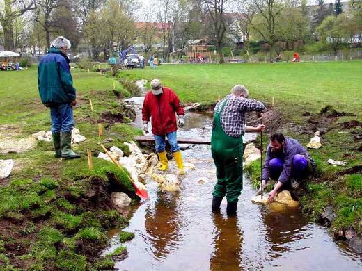 Renaturierung des Goldbachs