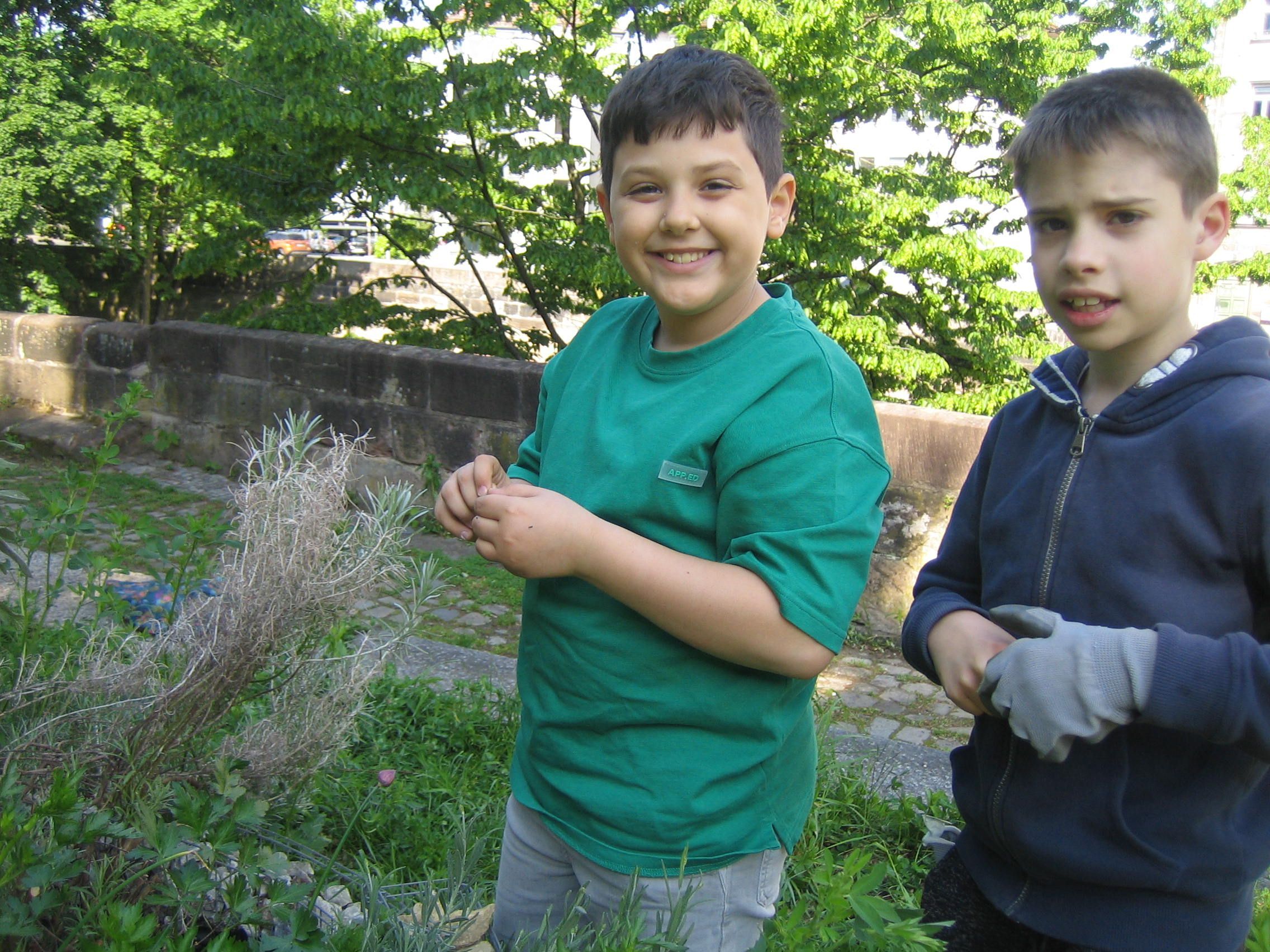 Kräuterernter Kräuterernter