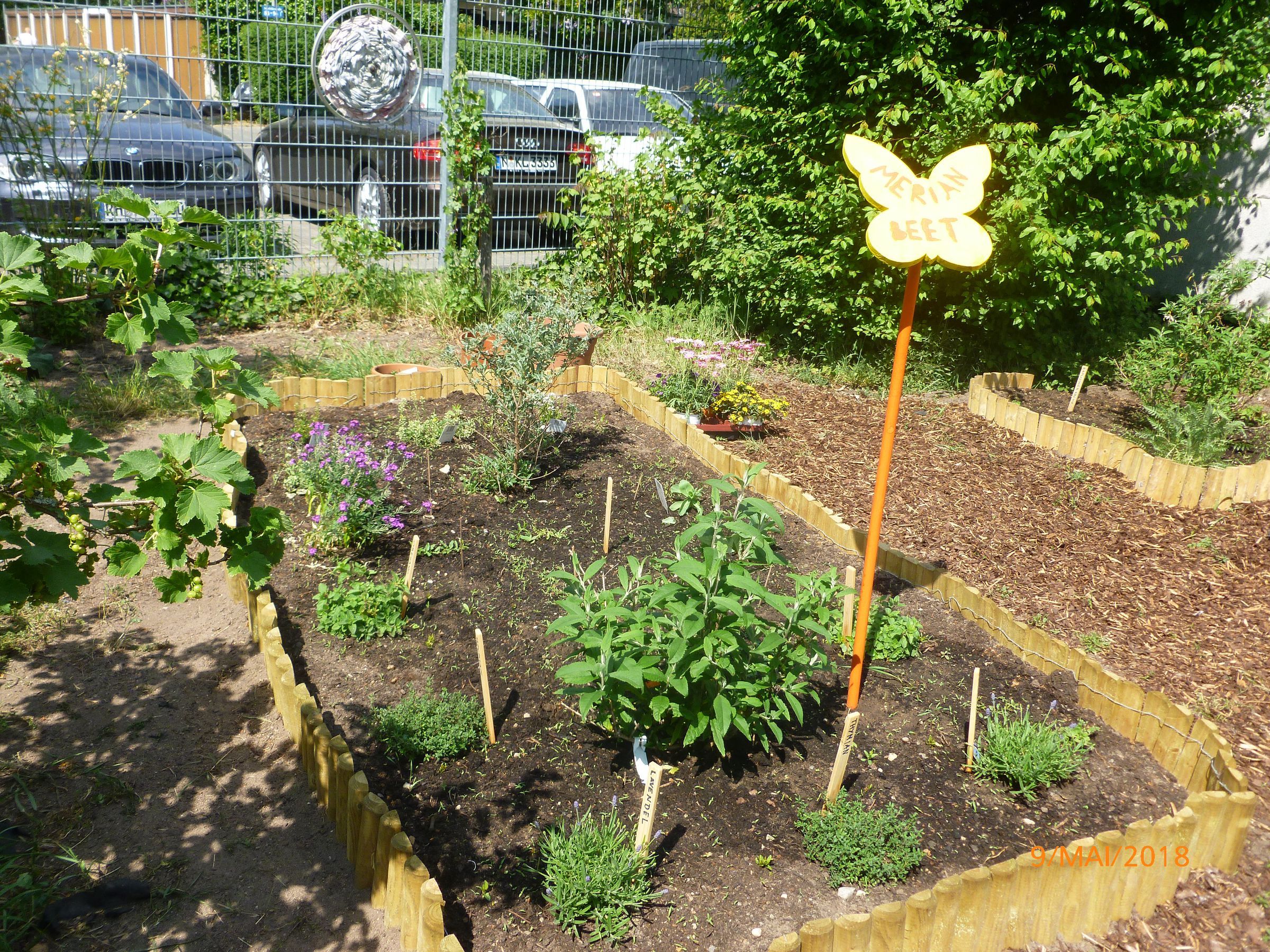 Schulprojekt Merianbeet Schulprojekt Merianbeet