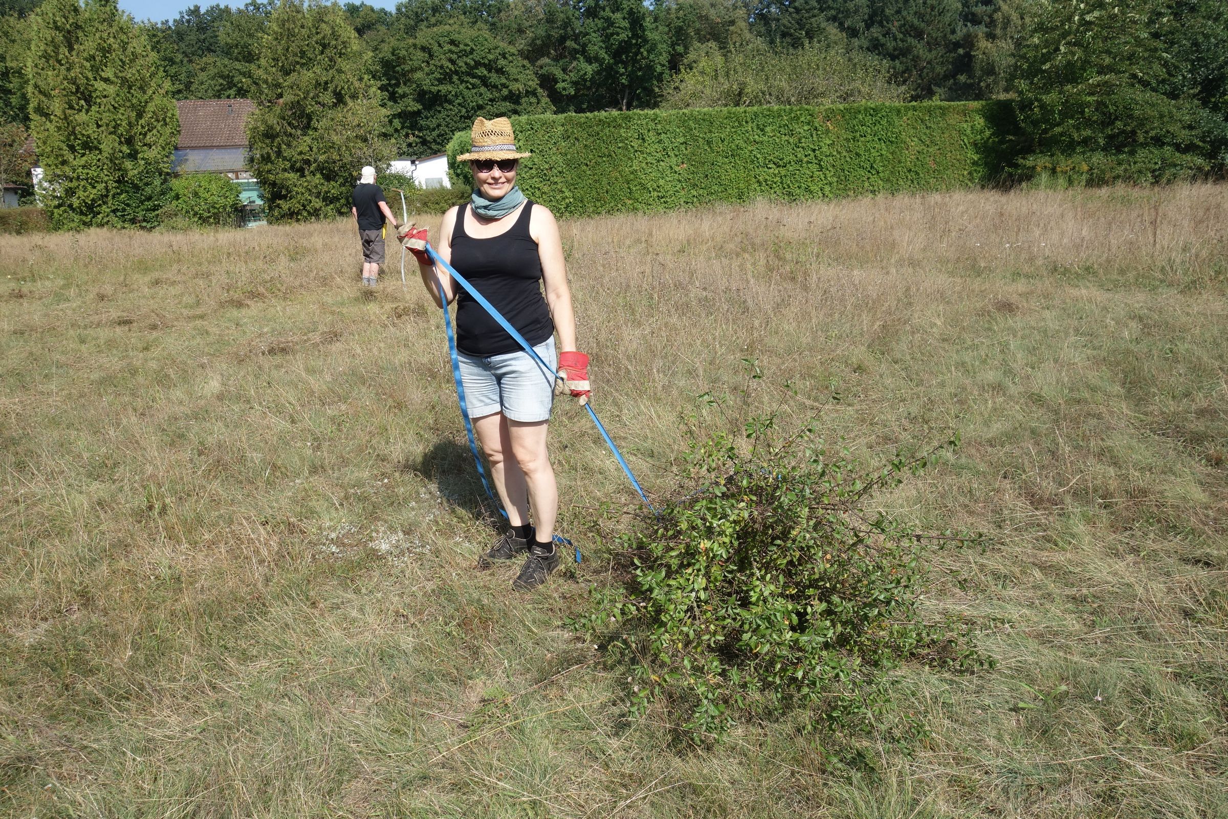 Abtransport des Mähguts (Foto: Viola Gburek) Abtransport des Mähguts