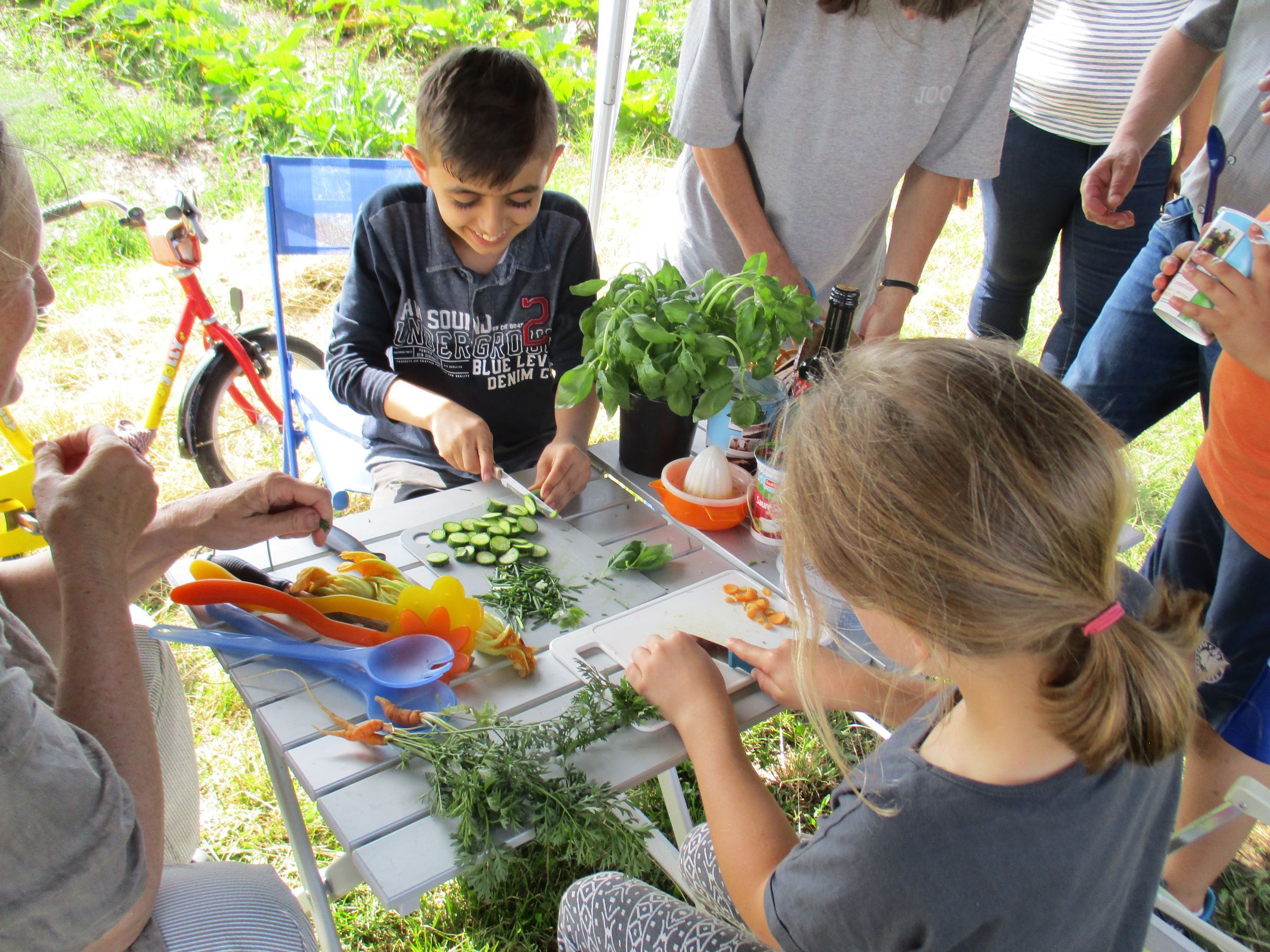 Gemüseackergruppe – gemeinsames Sommerfest Gemüseacker – Sommerfest