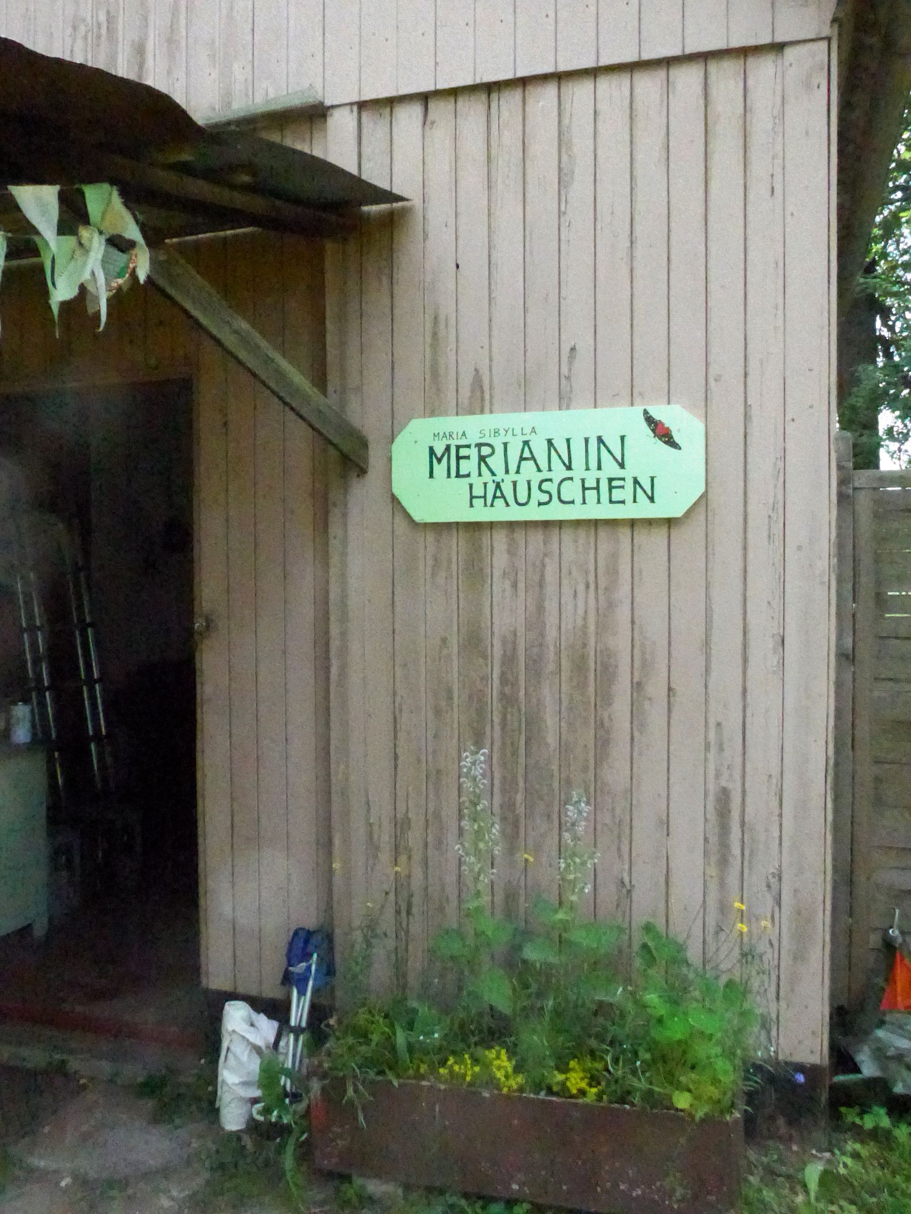 Merianin-Häuschen auf der neuen Biotopfläche Merianin-Häuschen auf der neuen Biotopfläche