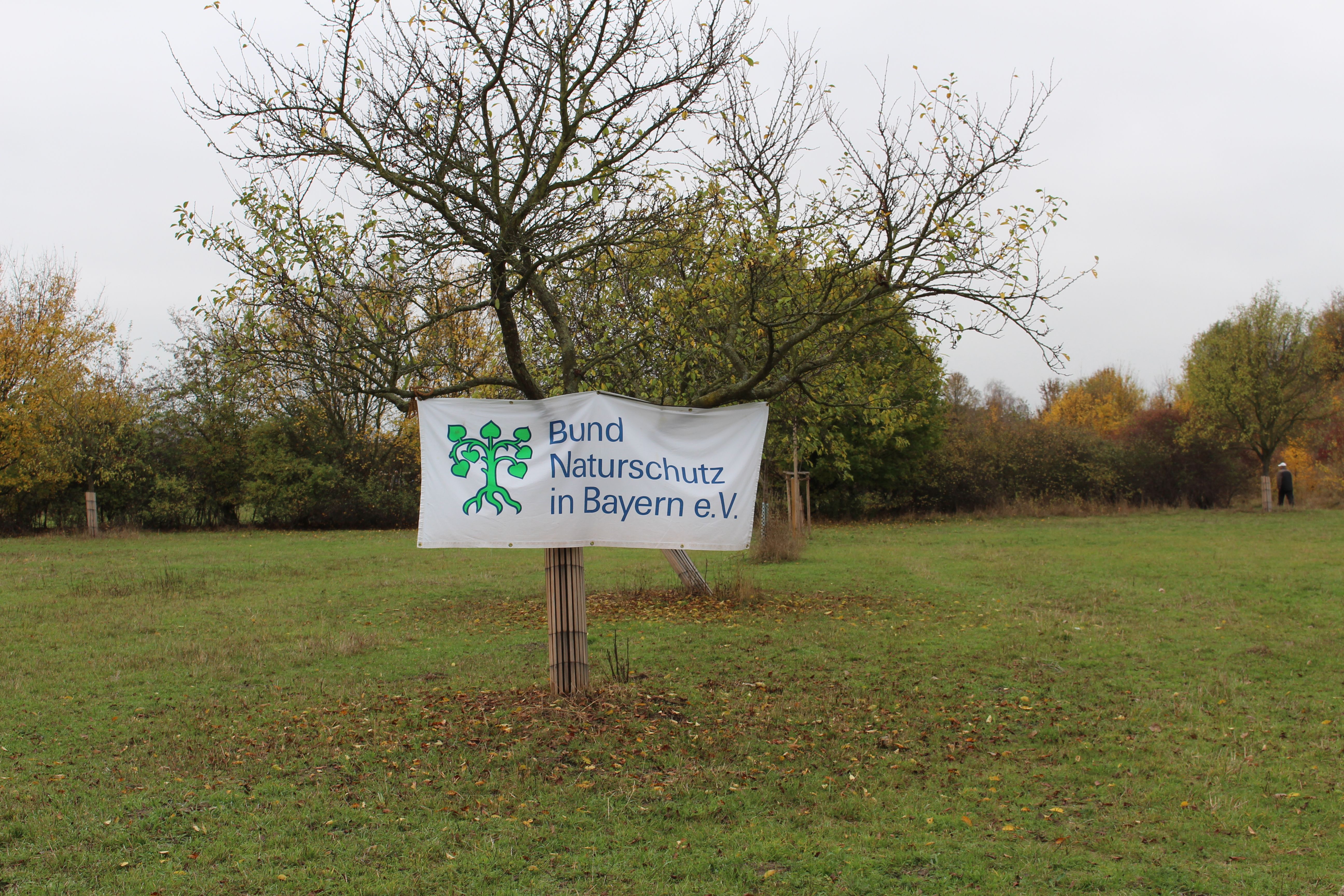 Streuobstwiese Kleingründlach