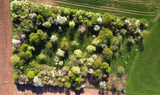Biotop Kleingründlach aus der Luft