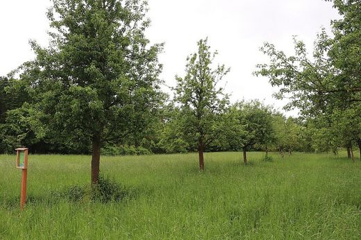Streuobstwiese Großgründlach (Foto: Wolfgang Dötsch)