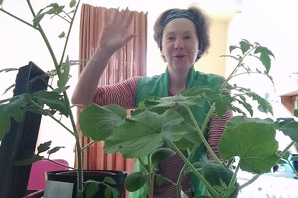 Garten auf der Fensterbank