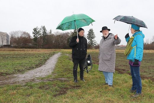 Grünfläche am Wetzendorfer Landgraben