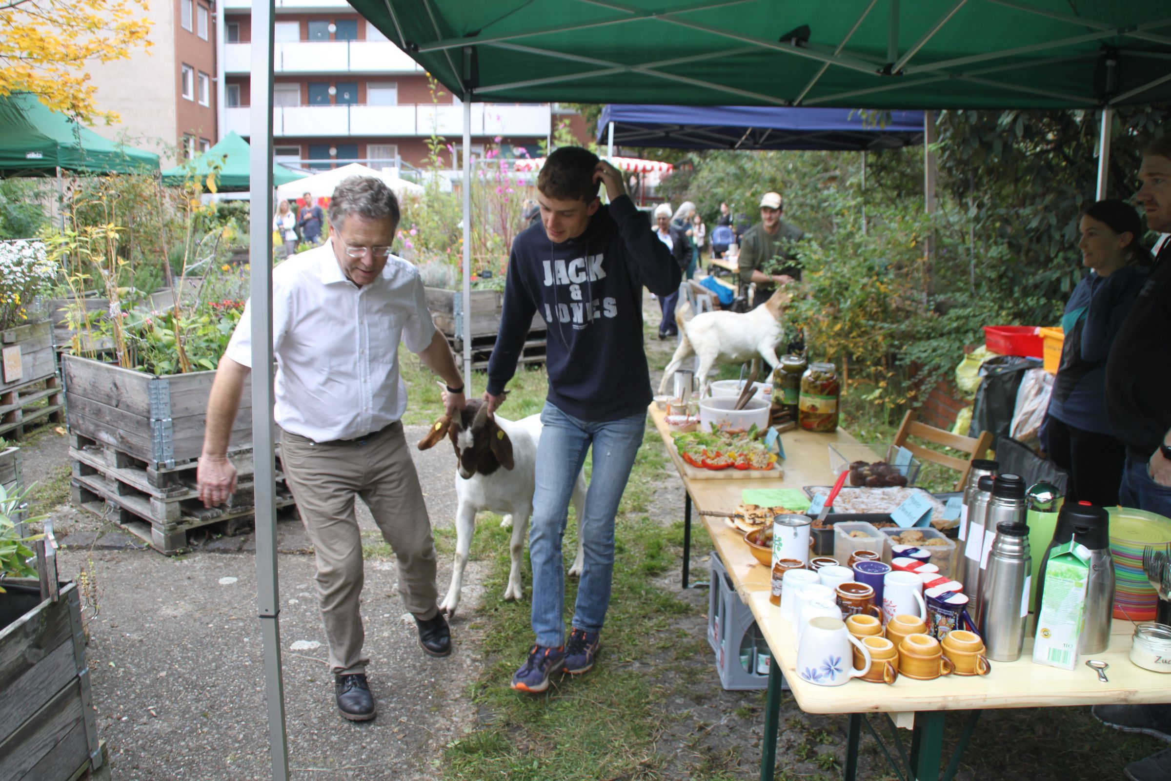 Ziege auf dem Weg zum Fest Ziege auf dem Weg zum Fest