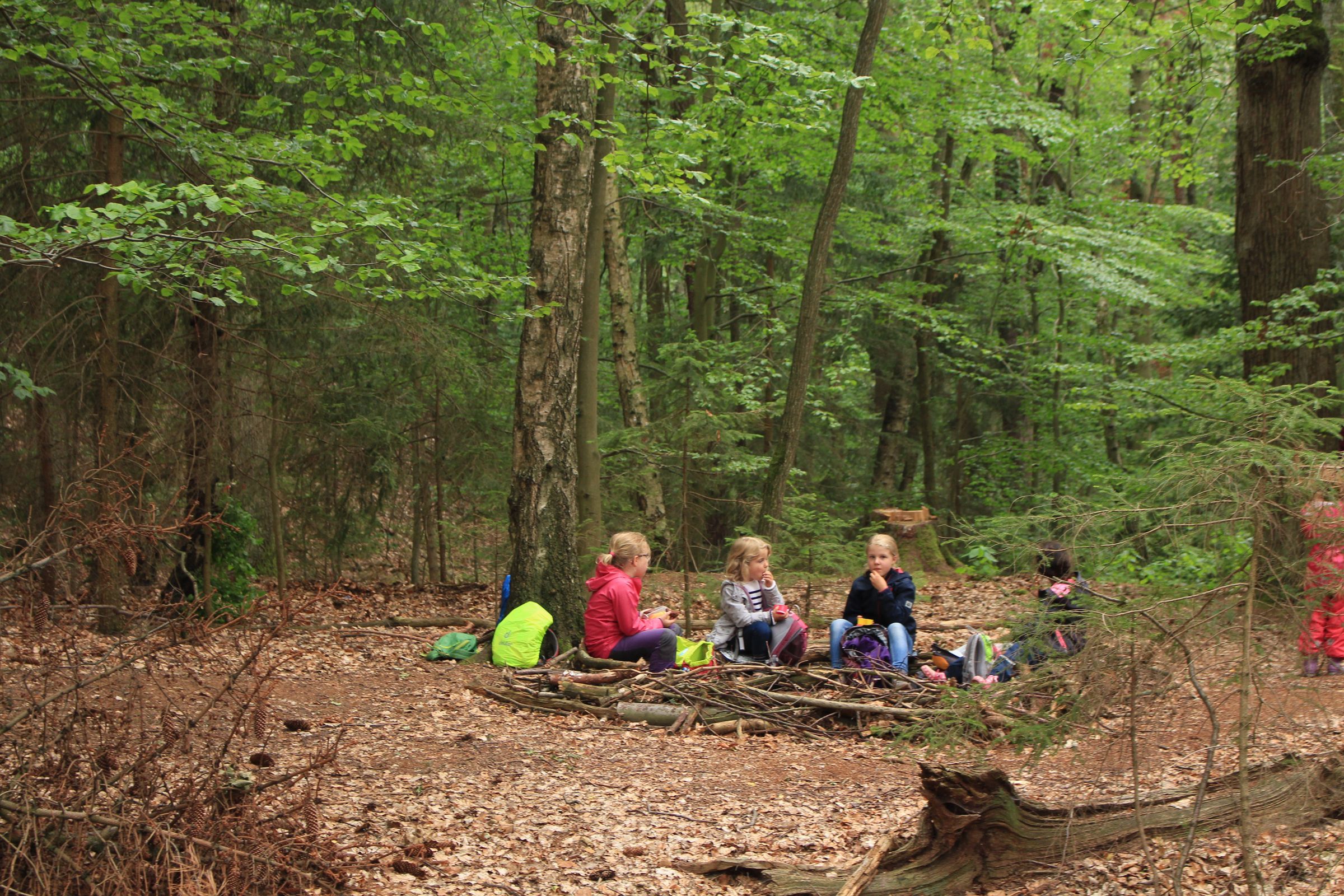 Kindergruppe Wald beim Tiergarten