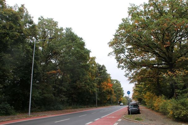 Eichendorffstraße
