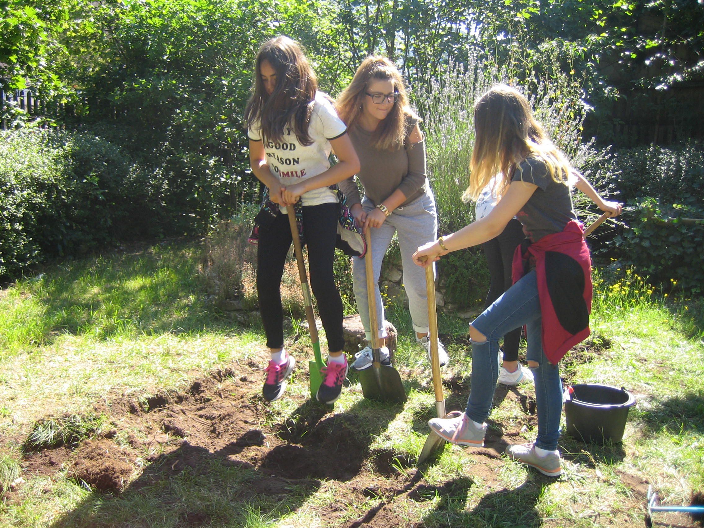 Anlage des Sandgartens