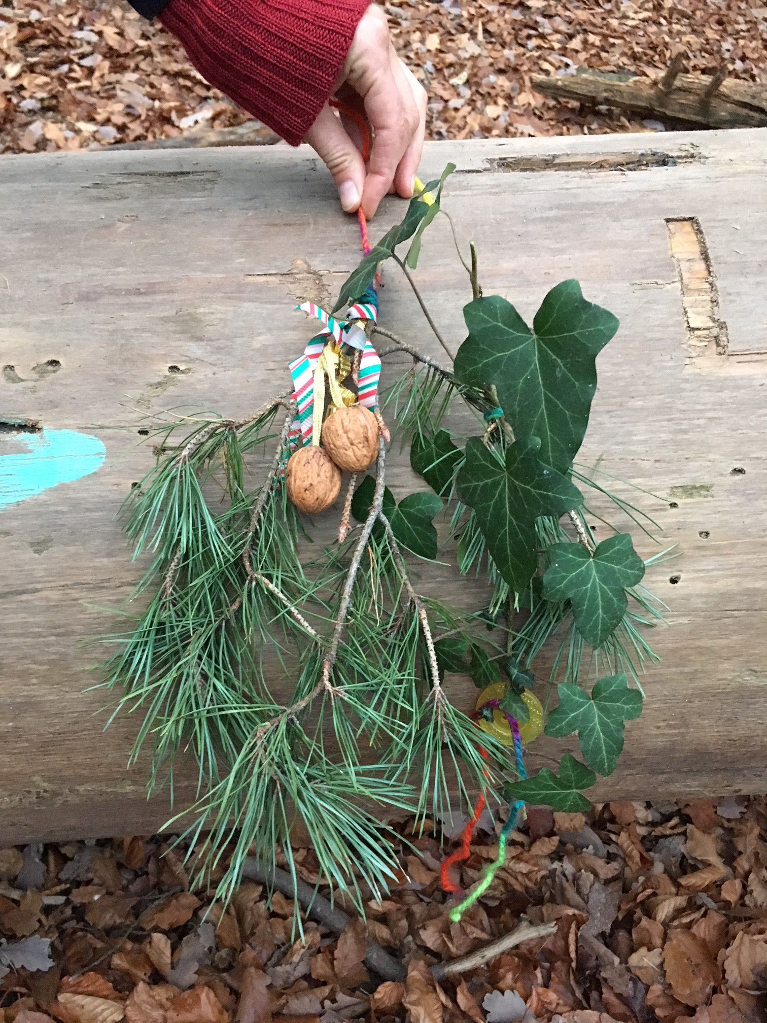 Kindergruppe Wald beim Tiergarten