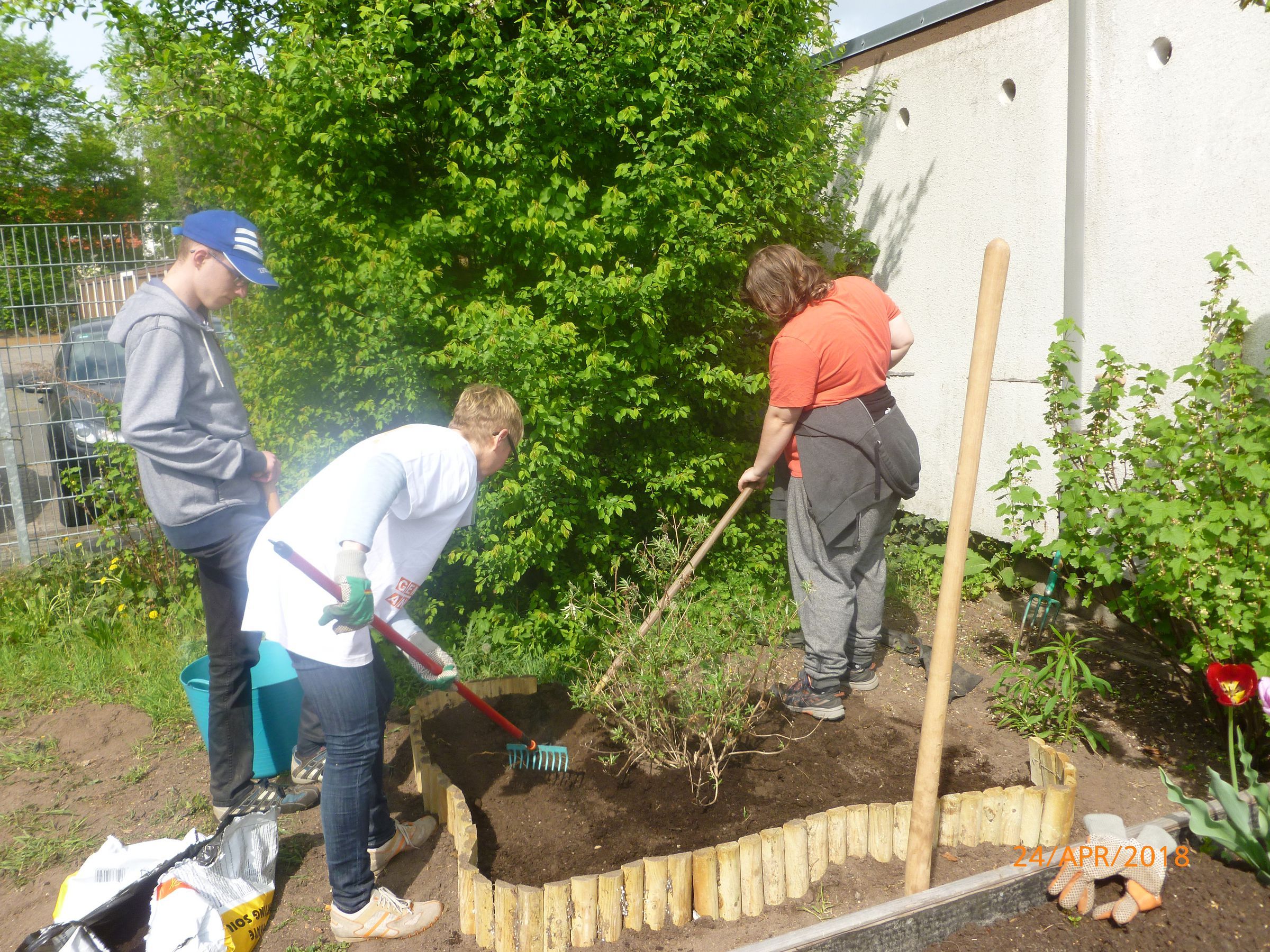 Schulprojekt Merianbeet Schulprojekt Merianbeet