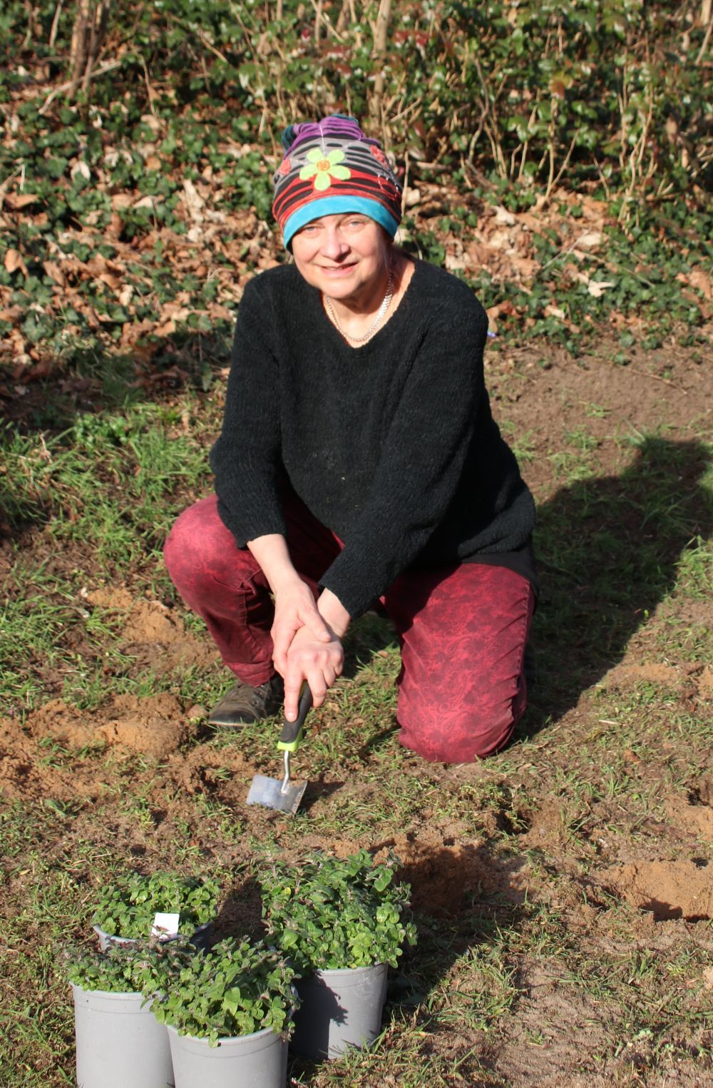 Wöhrder Wiese Sandterrasse (Foto: Wolfgang Dötsch) Wöhrder Wiese Sandterrasse