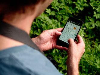 WhatsApp-Vogelstimmenhotline vom Vogelphilipp WhatsApp-Vogelstimmenhotline vom Vogelphilipp