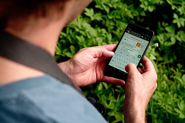 WhatsApp-Vogelstimmenhotline vom Vogelphilipp