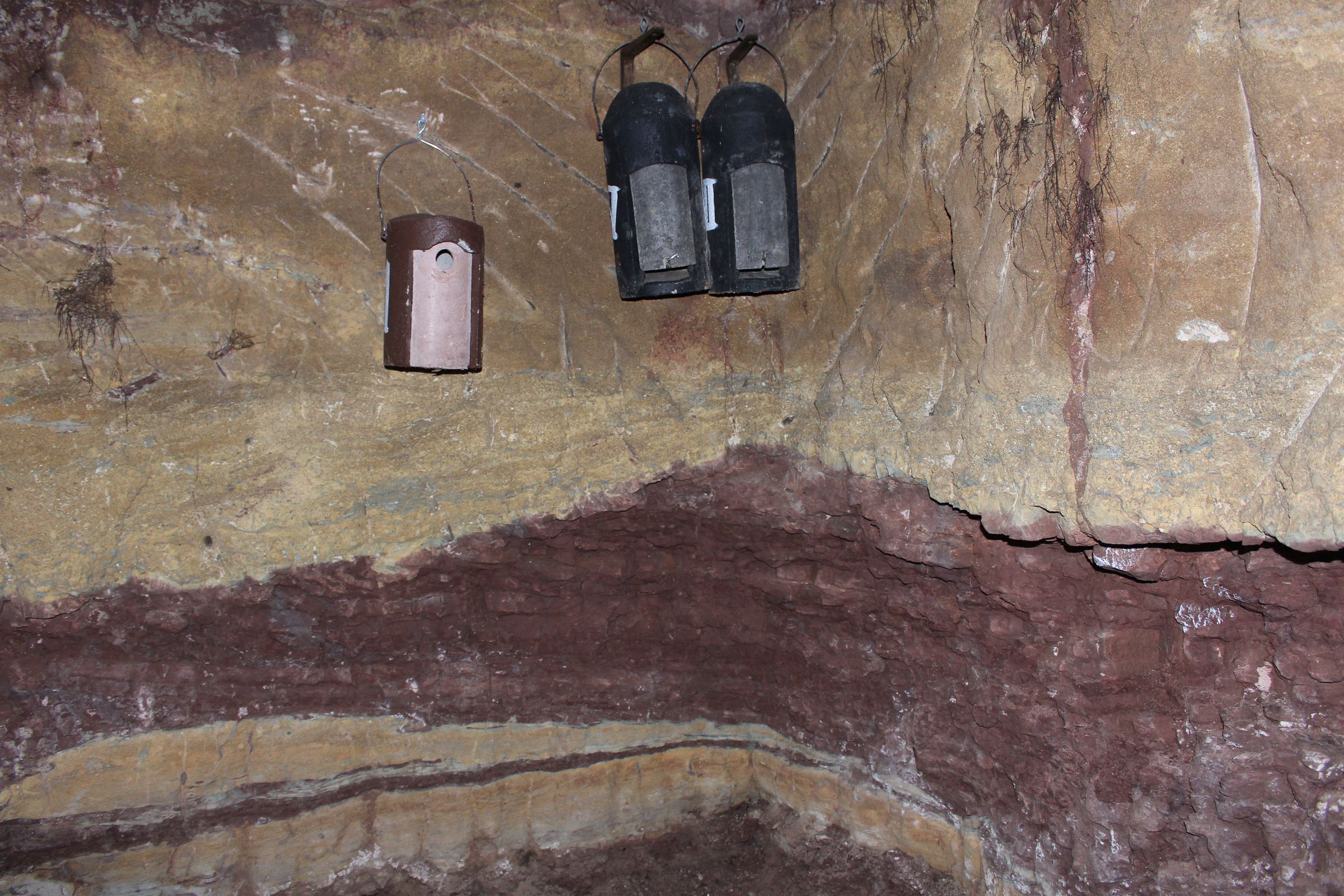 Fledermauskeller Krottenbach Fledermauskeller Krottenbach