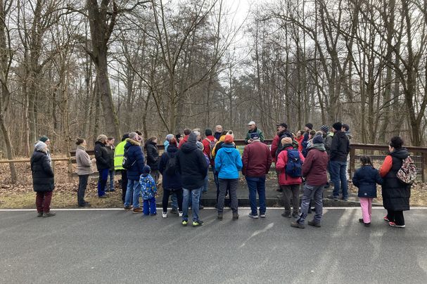 Aufbau des Amphibienschutzzauns am Dutzendteich