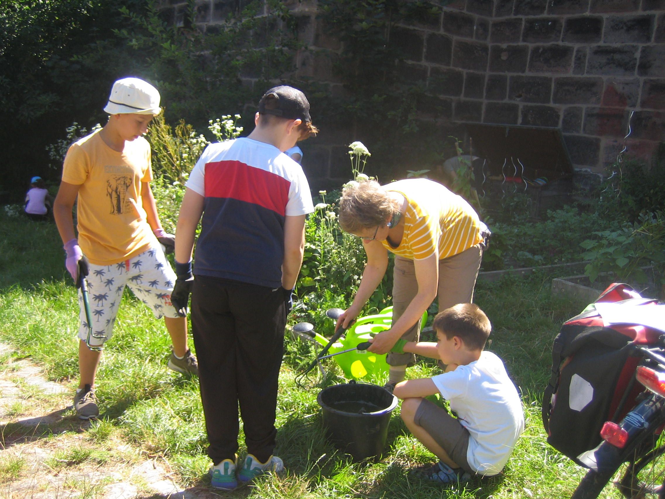 Brennnesseljauche (Foto: Barbara Philipp) Brennnesseljauche