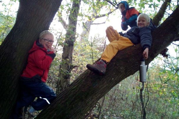 Baumpicknick